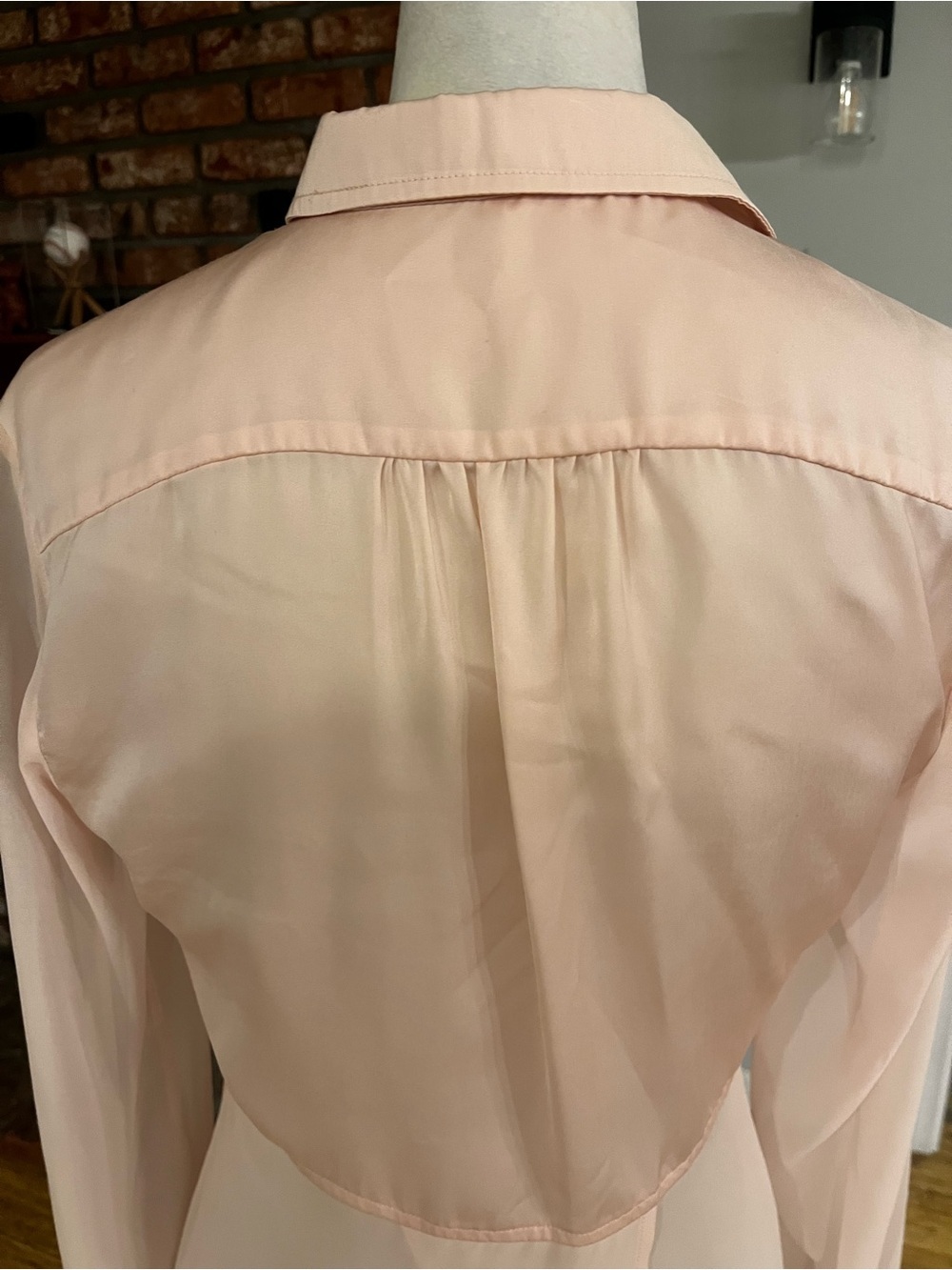 Free People ptp 19 Pink Sheer Button-Down Blouse - Picture 7 of 7